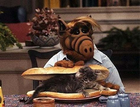 ¡Alf: Una Sitcom Intergaláctica que te Hará Reír con un Gato Peludo y Sarcástico!