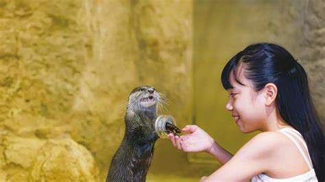 かりゆし水族館 所要時間 ～時間の流れと水中の神秘を探る～